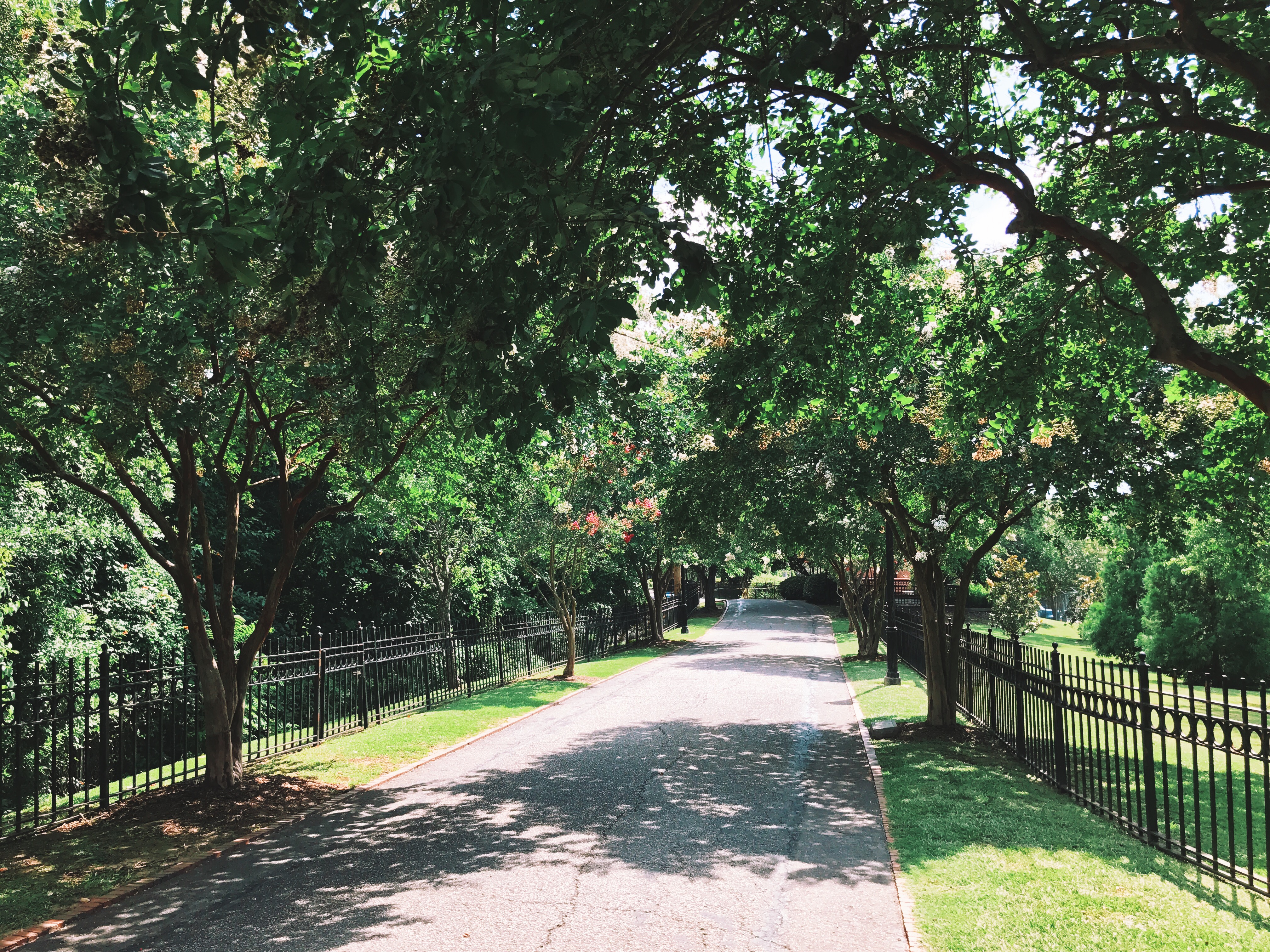 Processed with VSCO with k2 preset