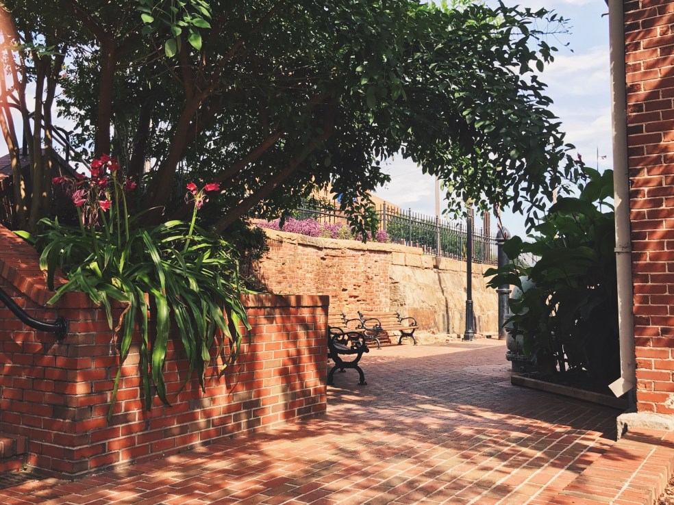 Processed with VSCO with c2 preset